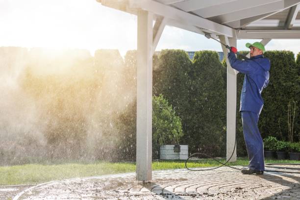 Best Sidewalk and Walkway Cleaning  in Upper Grand Lagoon, FL